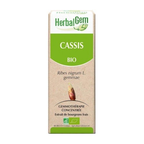Zwarte bes bio 50 ml (Herbalgem)