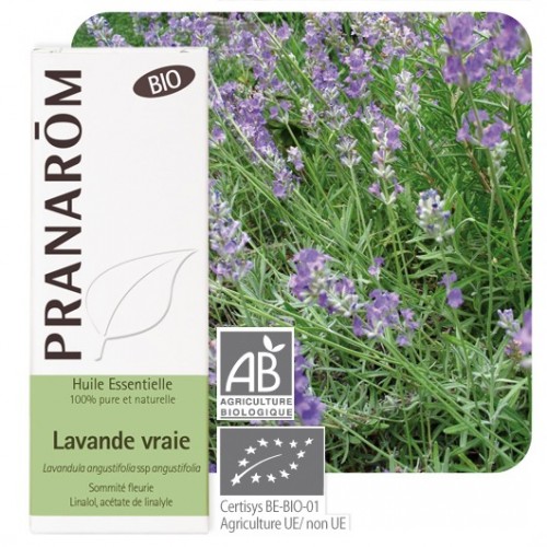 Lavande vraie bio 10 ml (Pranarôm)