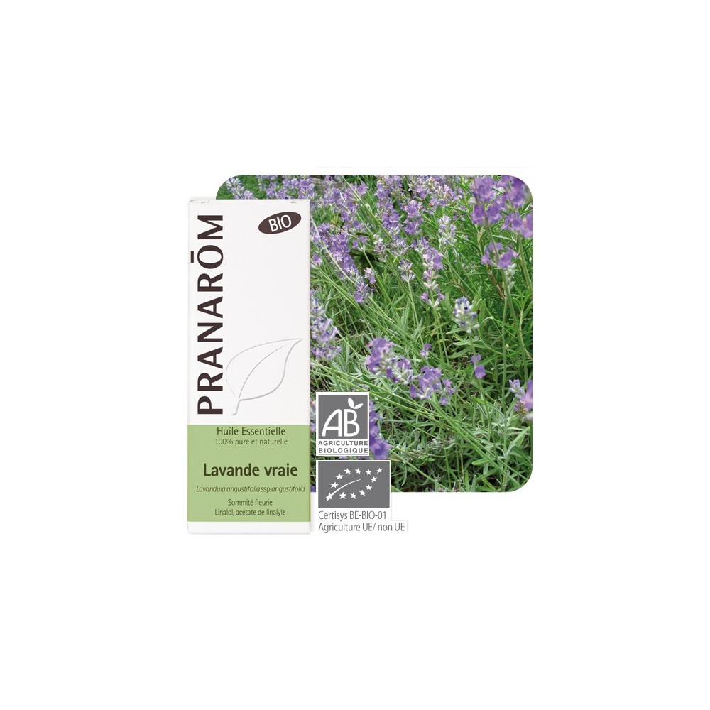 Huile essentielle de lavande officinale, lavandula angustifolia Bio