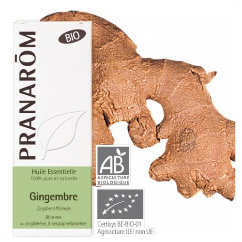 Gingembre bio 5 ml (Pranarôm) 