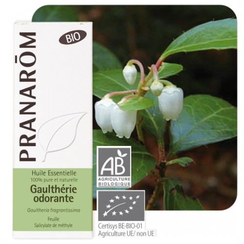 Gaulthérie odorante BIO 10 ml Huile Essentielle de Pranarom