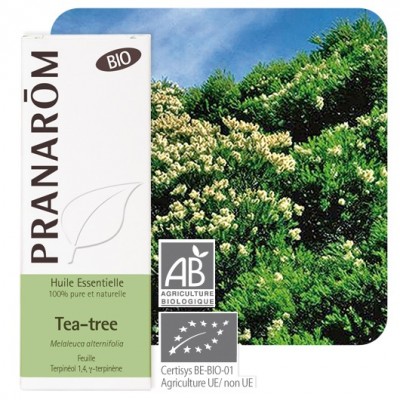 Tea-Tree bio 10 ml (Pranarôm)