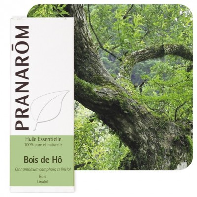 Bois de Hô 10 ml (Pranarôm)