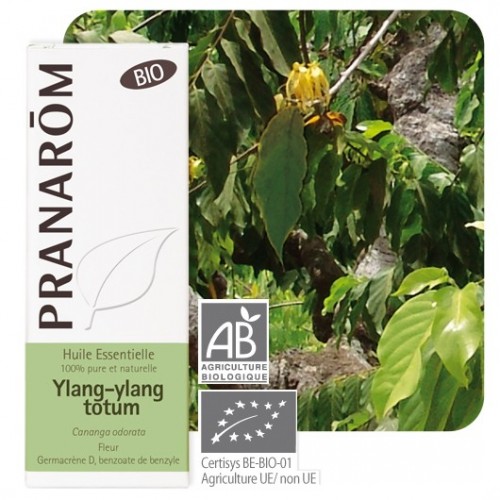 Ylang-Ylang totum bio 5 ml (Pranarôm)