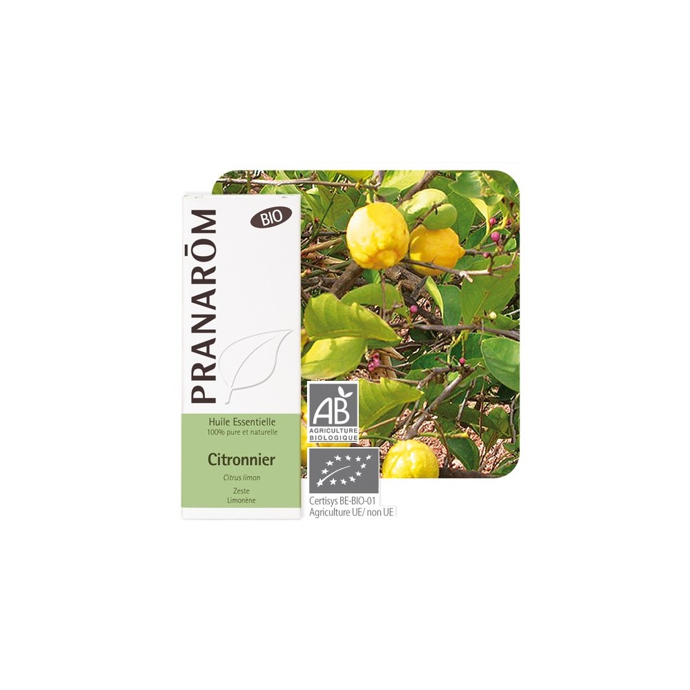 Citronnier bio 10 ml (Pranarôm)