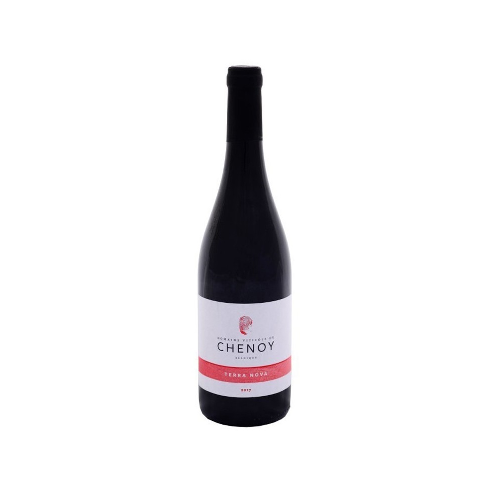 Rode wijn - Terra Nova 2017 (Domaine du Chenoy)