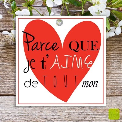 Carte message "Parce que je t'aime de tout mon coeur" (Choubidou)