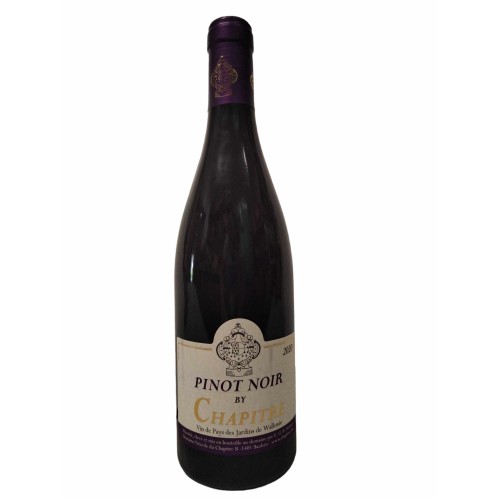 Pinot noir 75 cl 2020 (Domaine du Chapitre)
