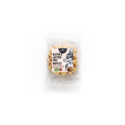 Galettes avec brisure de Sylvain Speculoos 60 g (Generous)